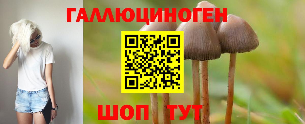 Псилоцибиновые грибы MAGIC MUSHROOMS  Вход с VPN  Кашира 
